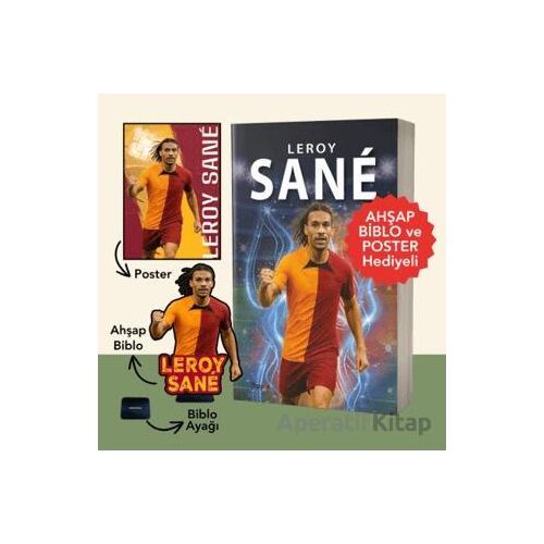 Leroy Sane - Kerem Tek - Flipper Yayıncılık