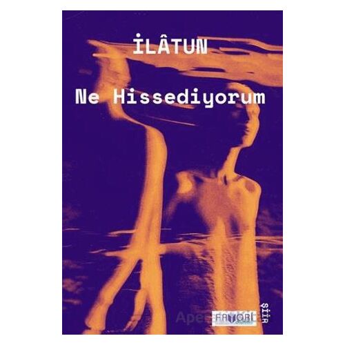 Ne Hissediyorum - İlatun - Favori Yayınları