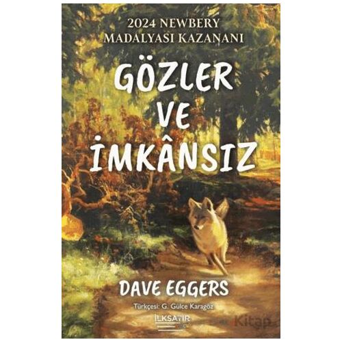 Gözler ve İmkansız - Dave Eggers - İlksatır Yayınevi