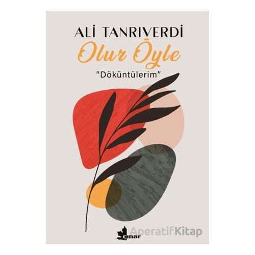 Olur Öyle - Ali Tanrıverdi - Çınar Yayınları