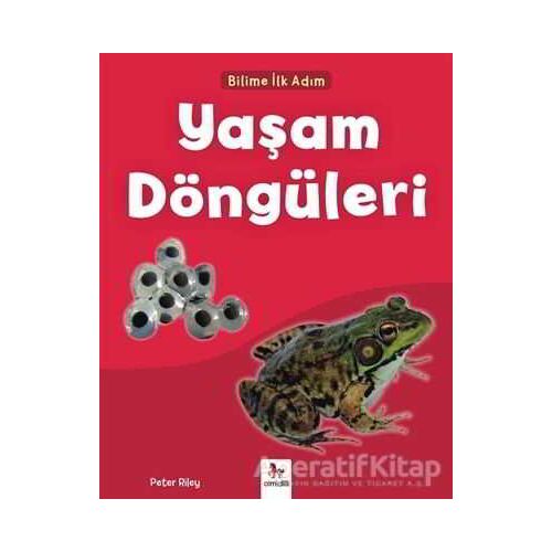 Yaşam Döngüleri - Bilime İlk Adım - Peter Riley - Almidilli