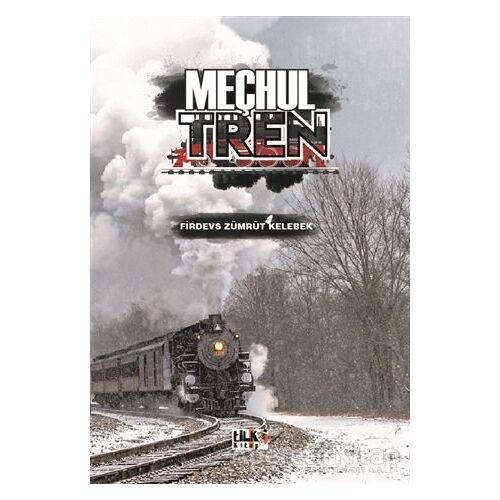Meçhul Tren - Firdevs Zümrüt Kelebek - Tilki Kitap