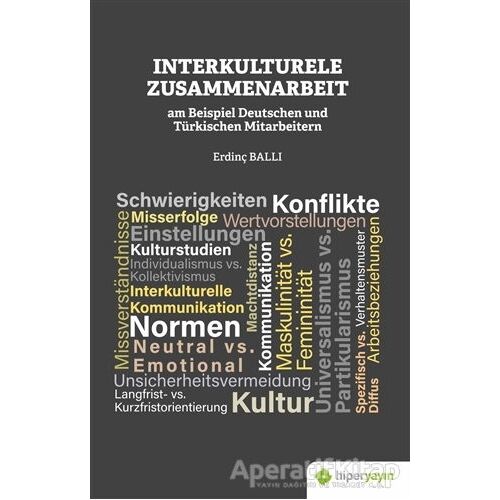 Interkulturele Zusammenarbeit am Beispiel Deutschen und Türkischen Mitarbeitern