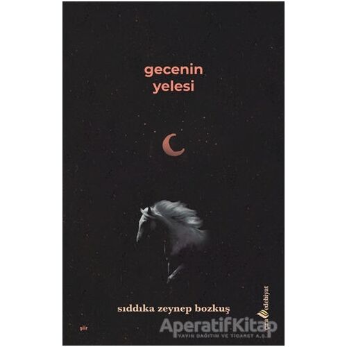 Gecenin Yelesi - Sıddıka Zeynep Bozkuş - Çıra Yayınları