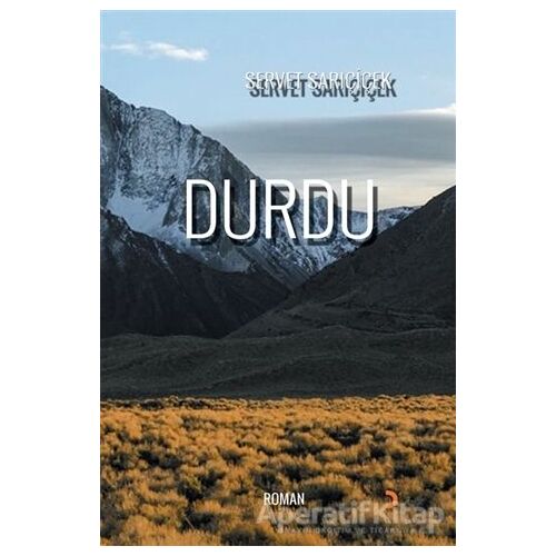 Durdu - Servet Sarıçiçek - Cinius Yayınları