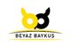 Beyaz Baykuş Yayınları