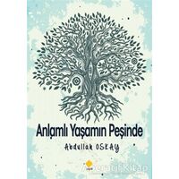 Anlamlı Yaşamın Peşinde - Abdullah Oskay - Duvar Kitabevi