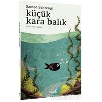 Küçük Kara Balık - Samed Behrengi - İndigo Kitap