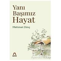 Yanı Başımız Hayat - Mehmet Dinç - Aşina Yayınları