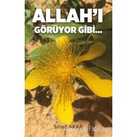 Allahı Görüyor Gibi - Sinan Akar - Beka Yayınları