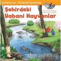 Şehirdeki Yabani Hayvanlar - Dünyayı Öğreniyorum - Annette Neubauer - İş Bankası Kültür Yayınları