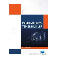 Kamu Maliyesi - Temel Bilgiler - Polat Tunçer - Nobel Akademik Yayıncılık