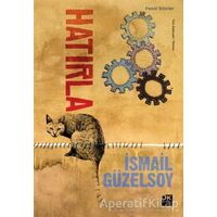 Hatırla - İsmail Güzelsoy - Doğan Kitap