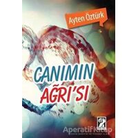 Canımın Ağrı’sı - Ayten Öztürk - İştirak Yayınevi