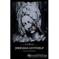 Kara Örümcek - Jeremias Gotthelf - İthaki Yayınları