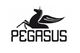 Pegasus Yayınları