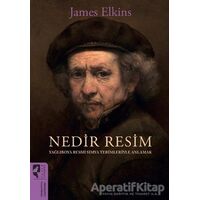 Nedir Resim - James Elkins - HayalPerest Kitap