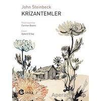 Krizantemler - John Steinbeck - İnka Yayınları