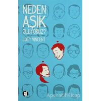 Neden Aşık Oluyoruz? - Lucy Vincent - Aylak Kitap