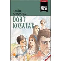 Dört Kozalak - Karin Karakaşlı - Günışığı Kitaplığı