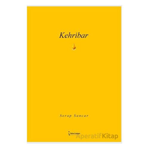 Kehribar - Serap Sancar - İkinci Adam Yayınları