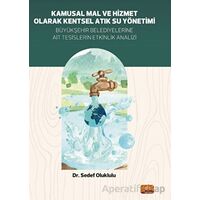 Kamusal Mal ve Hizmet Olarak Kentsel Atık Su Yönetimi - Sedef Oluklulu - Nobel Bilimsel Eserler