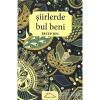 Şiirlerde Bul Beni - Recep Şen - Kırmızı Çatı Yayınları