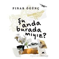 Şu Anda Burada Mıyız? - Pınar Öğünç - Kolektif Kitap