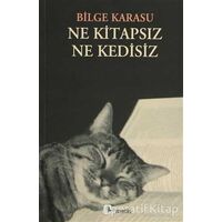 Ne Kitapsız Ne Kedisiz - Bilge Karasu - Metis Yayınları