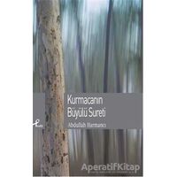 Kurmacanın Büyülü Sureti - Abdullah Harmancı - Profil Kitap