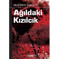 Ağıldaki Kızılcık - Mustafa Tokgöz - Kora Yayın