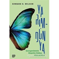 Yarım-Dünya: Gezegenimizin Hayatta Kalma Mücadelesi - Edward O. Wilson - Koç Üniversitesi Yayınları