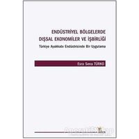 Endüstriyel Bölgelerde Dışsal Ekonomiler ve İşbirliği - Esra Sena Türko - Kriter Yayınları