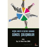 İktisat, Maliye ve İşletme Alanında Güncel Çalışmalar - Ahmet Yavuz Çamlı - Kriter Yayınları