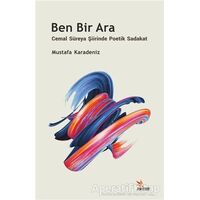 Ben Bir Ara - Mustafa Karadeniz - Kriter Yayınları