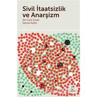 Sivil İtaatsizlik ve Anarşizm - Atıl Cem Çiçek - Doruk Yayınları