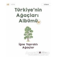 Türkiyenin Ağaçları Albümü - İğne Yapraklı Ağaçlar - Işıl Erverdi - Kumdan Kale