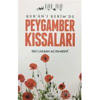 Kuran-ı Kerimde Peygamber Kıssaları - Ebul Hasan Ali En-Nedvi - Ravza Yayınları
