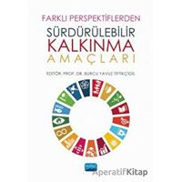 Farklı Perspektiflerden Sürdürülebilir Kalkınma Amaçları - Begüm Erçevik - Nobel Akademik Yayıncılık