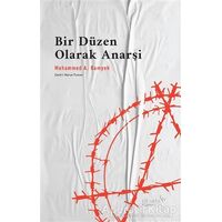 Bir Düzen Olarak Anarşi - Mohammed A. Bamyeh - Albaraka Yayınları