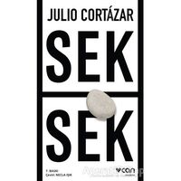 Sek Sek - Julio Cortazar - Can Yayınları