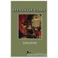 Efendi İle Uşağı - Lev Nikolayeviç Tolstoy - Karmen Yayınları