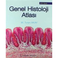 Genel Histoloji Atlası - M. Turan Akay - Palme Yayıncılık