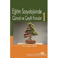 Eğitim Sosyolojisinde Güncel ve Çeşitli Konular-1 - Mahmut Tezcan - Anı Yayıncılık