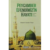 Peygamber Efendimizin Hayatı (s.a.s) - Ahmed Cevdet Paşa - Çamlıca Basım Yayın