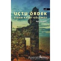 Uçtu Ördek Viran Kaldı Gölümüz - Mehmet Aycı - Okur Kitaplığı