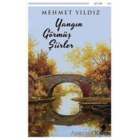 Yangın Görmüş Şiirler - Mehmet Yıldız - Morena Yayınevi