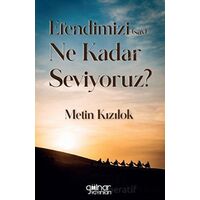 Efendimizi (Sav) Ne Kadar Seviyoruz - Metin Kızılok - Gülnar Yayınları