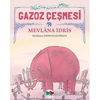 Gazoz Çeşmesi - Mevlana İdris - Vak Vak Yayınları