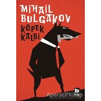 Köpek Kalbi - Mihail Afanasyeviç Bulgakov - Bilgi Yayınevi